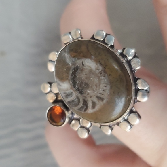 New Ammonite Fossil and Garnet 925 Silver Ring. - Picture 12 of 15